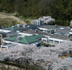 dscf9636.jpg